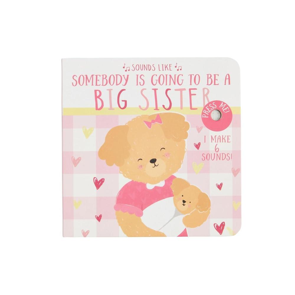 imageMud Pie Sounds Like Big Sister