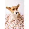 Mud Pie Golden Retriever Print Muslin Baby Swaddle Blanket, 47″ x 47″(Corgi)