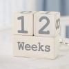 Mud Pie Milestone Blocks, White/Blue(Wood)