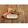 Mud Pie Stoneware Halloween Everything Plate, 9″ x 4″ wide, Orange