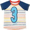 Mud Pie Baby-Boys Boy Birthday ShirtBOY Birthday Shirt(3)