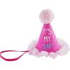 Mud Pie baby-girls Kids Musical Birthday Hat(Pink)