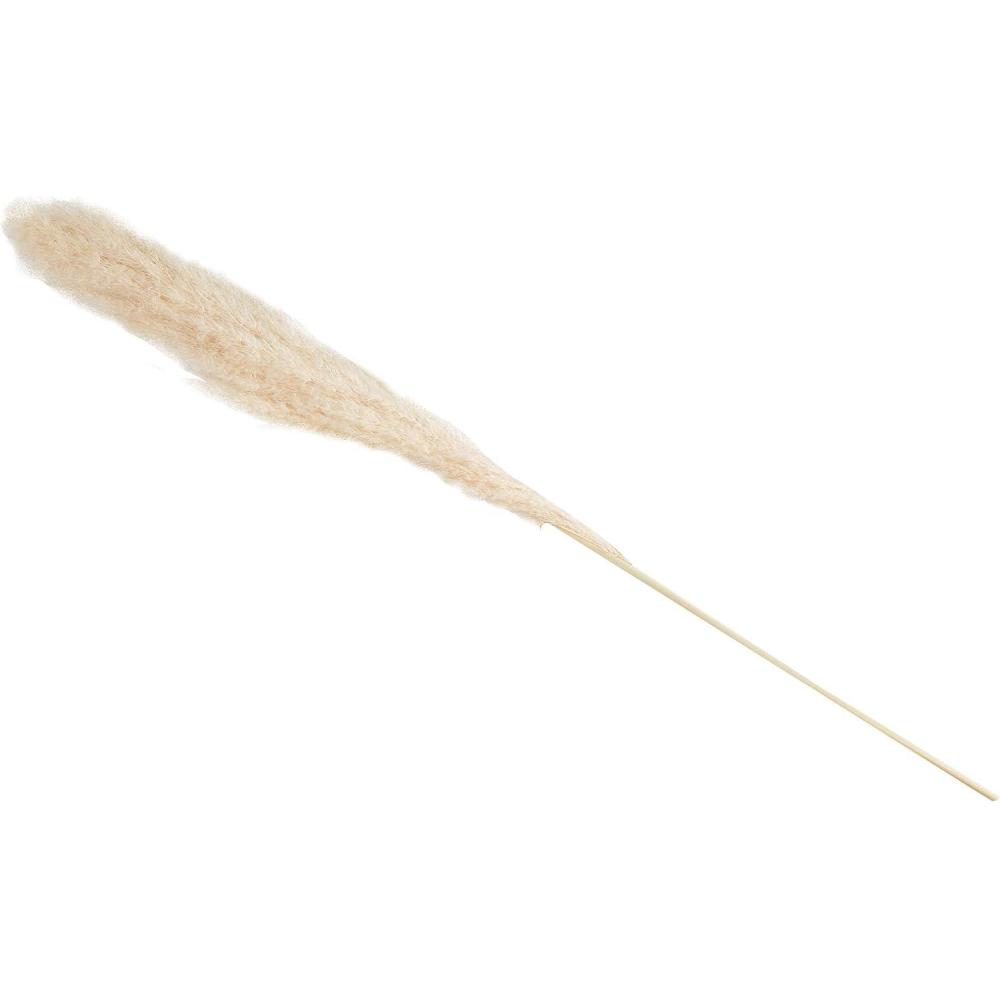 imageMud Pie Pampas Grass