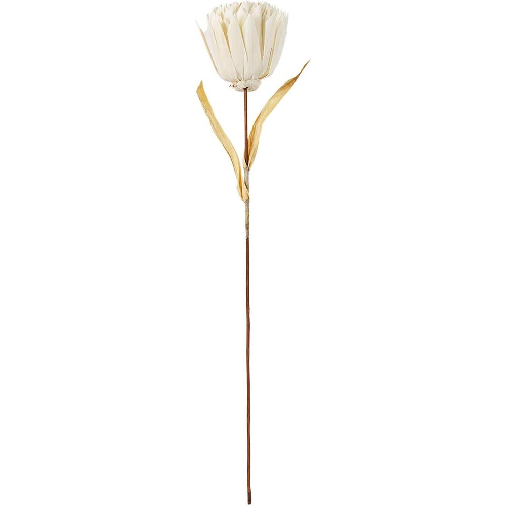 imageMud Pie Preserved Bamboo Mum Stem White 24quot