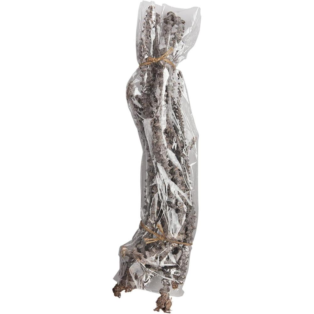 imageMud Pie Preserved Banana Stems Green 21 12quot