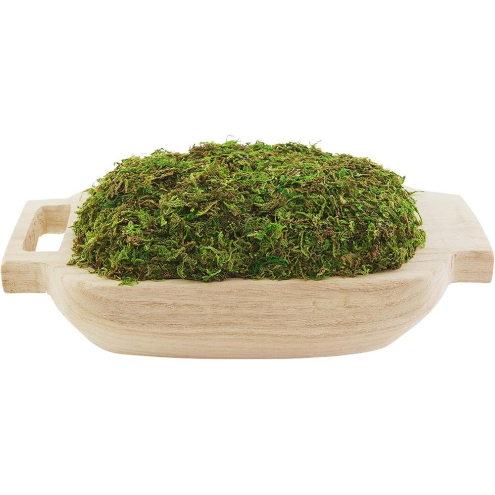 imageMud Pie Preserved Moss Handle Paulownia Pot Natural 9quot x 17quot