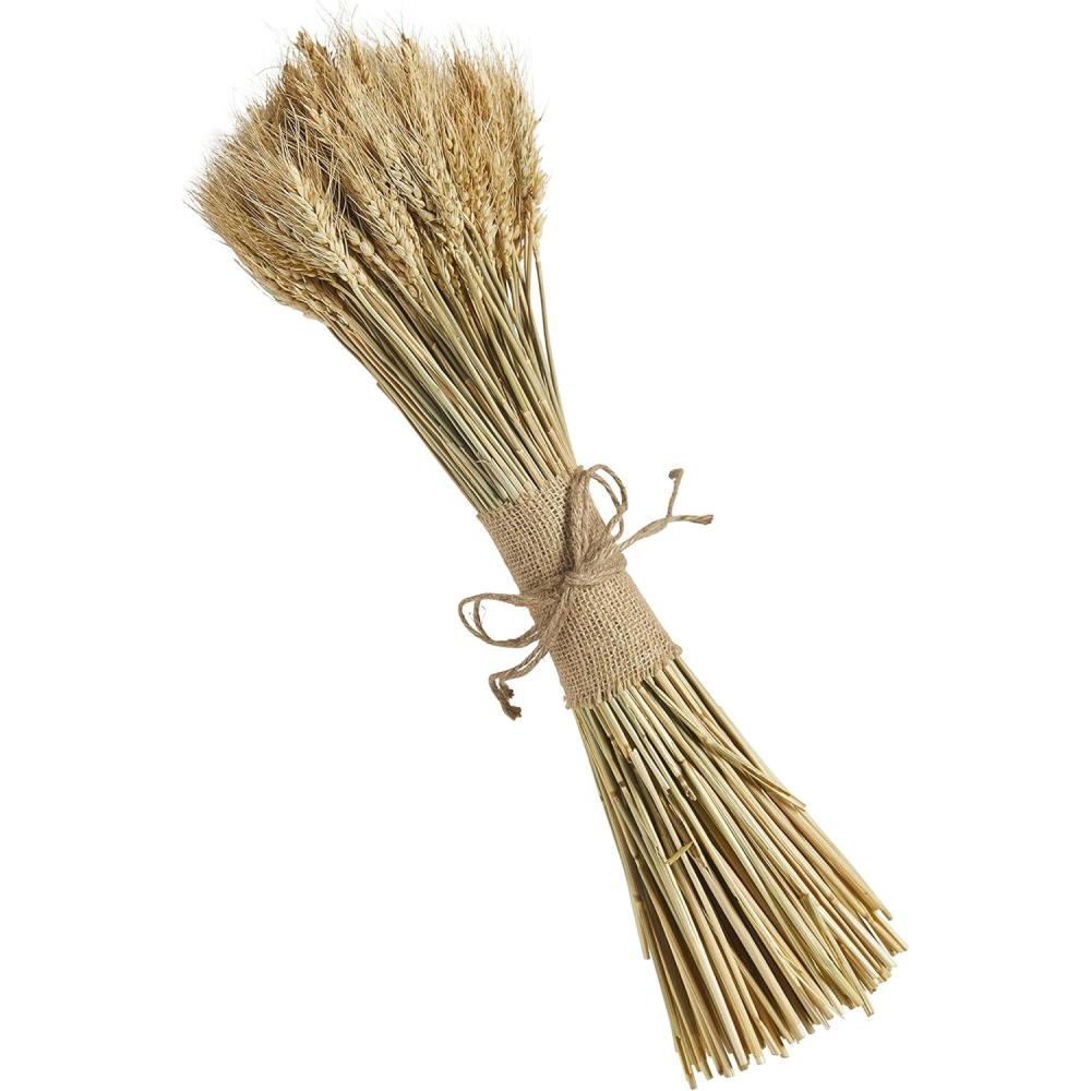 imageMud Pie Preserved Wheat Bundle Small 18quot