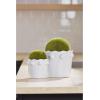 Mud Pie Beaded Faux Moss Pot, Large, 6.25″ x 6.5″ Dia(Large)