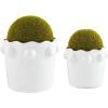 Mud Pie Beaded Faux Moss Pot, Large, 6.25″ x 6.5″ Dia(Small)