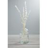 Mud Pie, Cream, 20″ Preserved Lions Grass