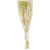 Mud Pie, Green, 17″ Preserved Bunnytail Stem