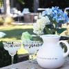 Mud Pie Margarita Pitcher Set, White(White)