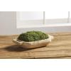 Mud Pie Preserved Moss Handle Paulownia Pot, Natural, 9″ x 17″