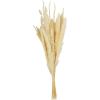 Mud Pie Bleached Preserved Bouquet, White, 17″