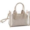 Mud Pie Clear Purse(Taupe)