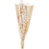 Mud Pie, Cream, 20″ Preserved Lions Grass