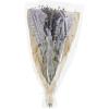 Mud Pie, Lavendar, 11″ Preserved Lavender Bunch