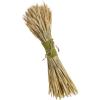Mud Pie Preserved Wheat Bundle, Large, 27″