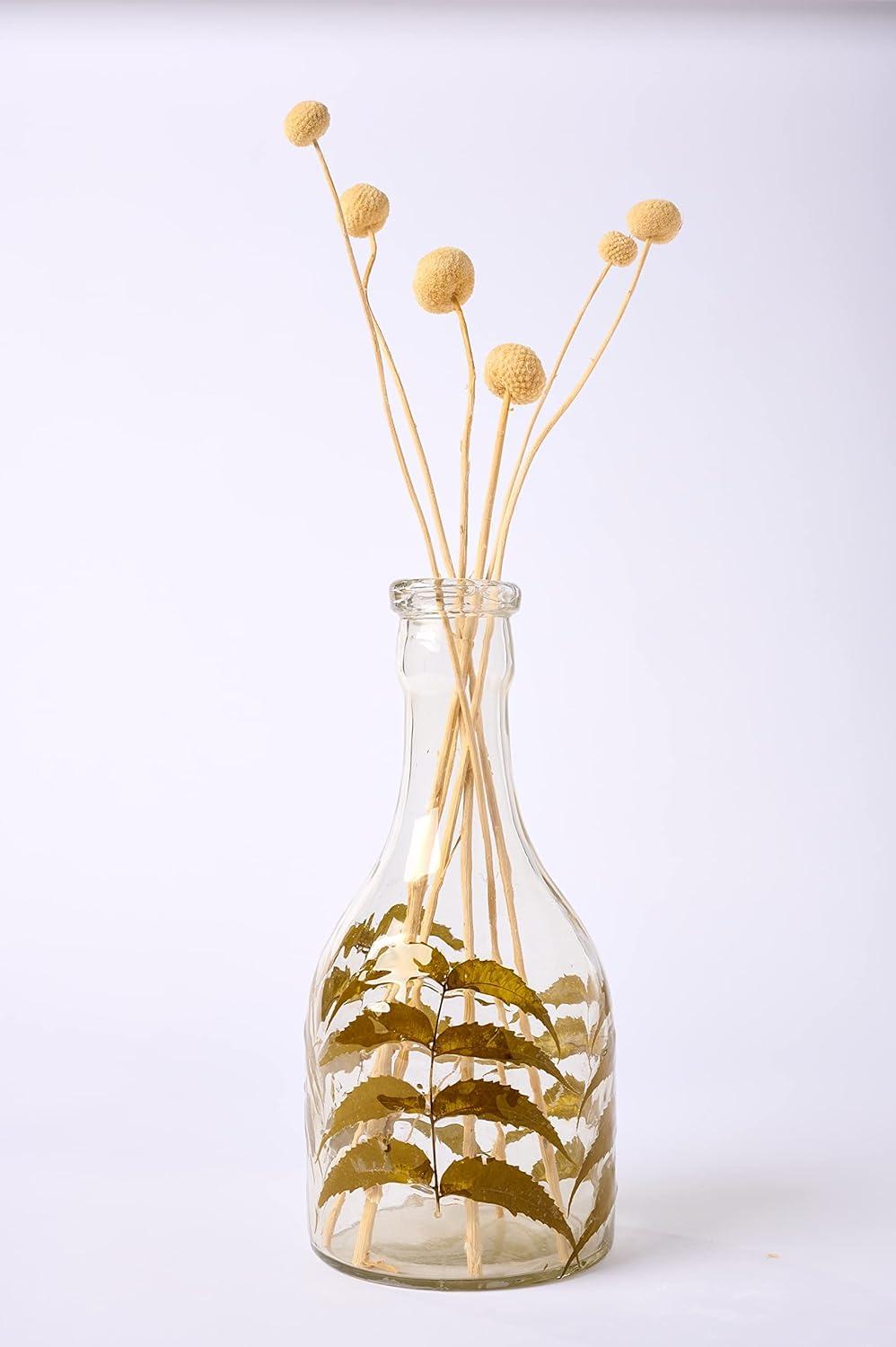 imageMud Pie Glass and Preserved Leaf Vase Small 12quot x 6quot DiaSmall