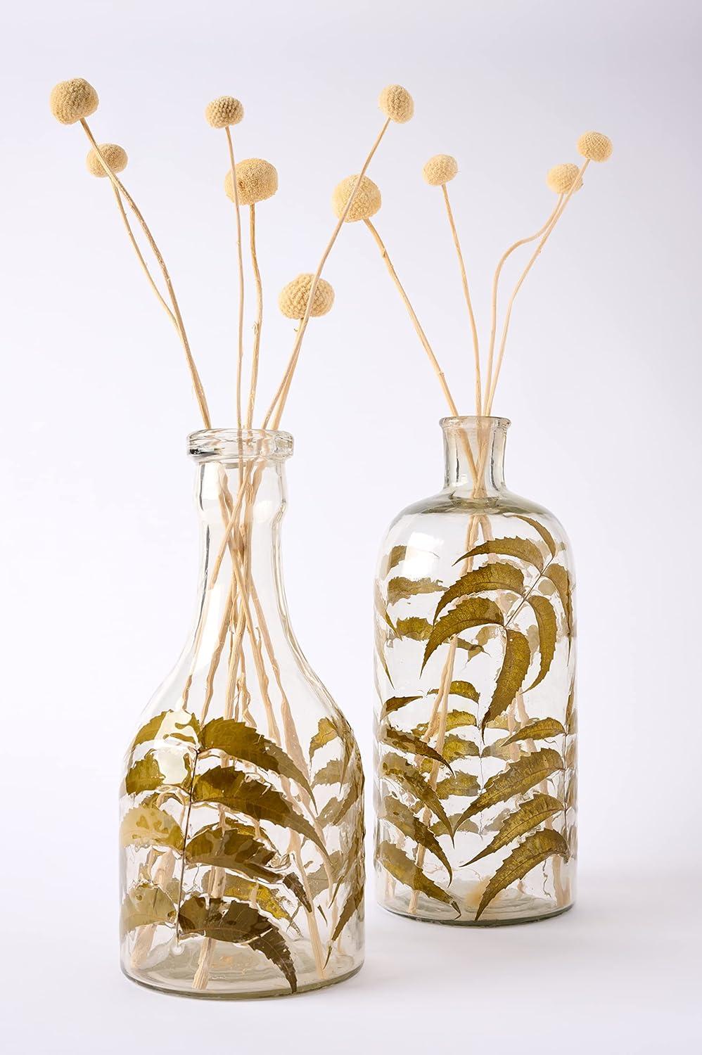 imageMud Pie Glass and Preserved Leaf Vase Small 12quot x 6quot DiaSmall