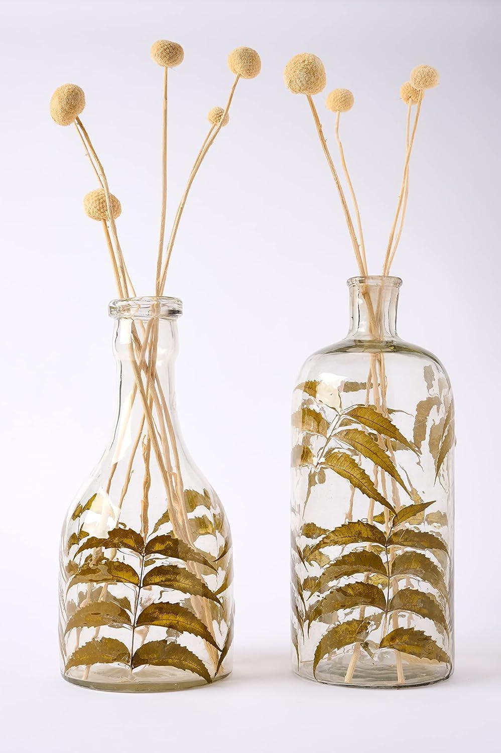 imageMud Pie Glass and Preserved Leaf Vase Small 12quot x 6quot DiaSmall