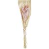 Mud Pie, Pink, 17″ Preserved Bunnytail Stem