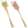Mud Pie, Pink, 17″ Preserved Bunnytail Stem