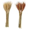 Mud Pie Small Preserved Wheat Bundle, Rust, 10.5″