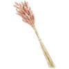 Mud Pie, Pink, 17″ Preserved Bunnytail Stem