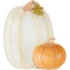 Mud Pie Pumpkin Chip N Dip; 12″ x 10 3/4″