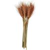 Mud Pie Small Preserved Wheat Bundle, Rust, 10.5″