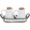 Farmhouse Inspired Ceramic Aluminum Salt and Pepper Caddy Set, White