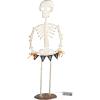 Mud Pie Halloween Large Light Up Skeleton Sitter(Large)
