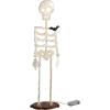 Mud Pie Halloween Large Light Up Skeleton Sitter(Small)