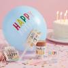 Mud Pie Birthday Box, Multi