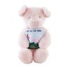 Mud Pie Children’s Farm Animal Book and Plush Set, Pig