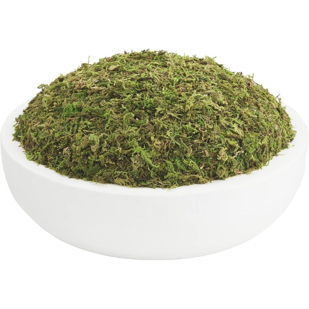 image:imageMud Pie Preserved Moss Paulownia Bowl Natural 3 x 15 Dia