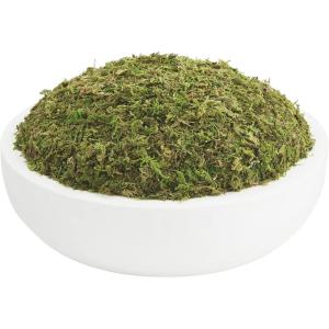 Mud Pie Preserved Moss Paulownia Bowl, Natural, 3″ x 15″ Dia