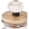 Knob Glass Condiment Set