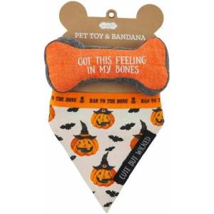 Mud Pie Halloween Dog Bandana Set, Got Dog