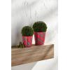 Mud Pie Boxwood Tartan Pot, Small, 5″ x 5″ Dia