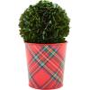 Mud Pie Boxwood Tartan Pot, Small, 5″ x 5″ Dia