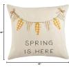 Mud Pie Easter Banner Applique Pillow, 18″ x 18″, Bunny(Carrot)