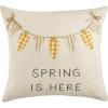 Mud Pie Easter Banner Applique Pillow, 18″ x 18″, Bunny(Carrot)