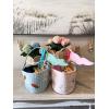 Mud Pie Blue Easter Beaded Bucket; 7 1/2″ x 8 1/2″(Pink)