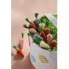 Mud Pie Brush Carrot Filler, Orange(Orange)
