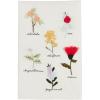 Mud Pie Flower Stems Embroidery Towel; 21″ x 14″(Flower Stem)