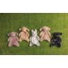 Mud Pie Kids’ Huck The Black Labrador Retriever Dog Woobie