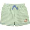 Mud Pie Toddler Boy Duck Swim Trunk(Green)
