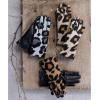Mud Pie Women’s Leopard Glove Brown, One Size Fits Most